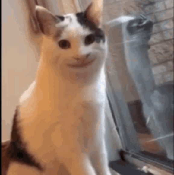 Meet your Posher, Ida - Picture 1 of 1